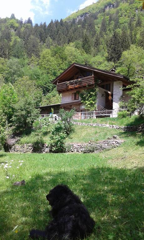 B&B Villa Ca'Praja Daone Exterior foto
